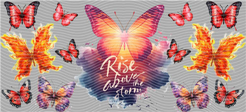 16oz Latest Bestseller-C 5846